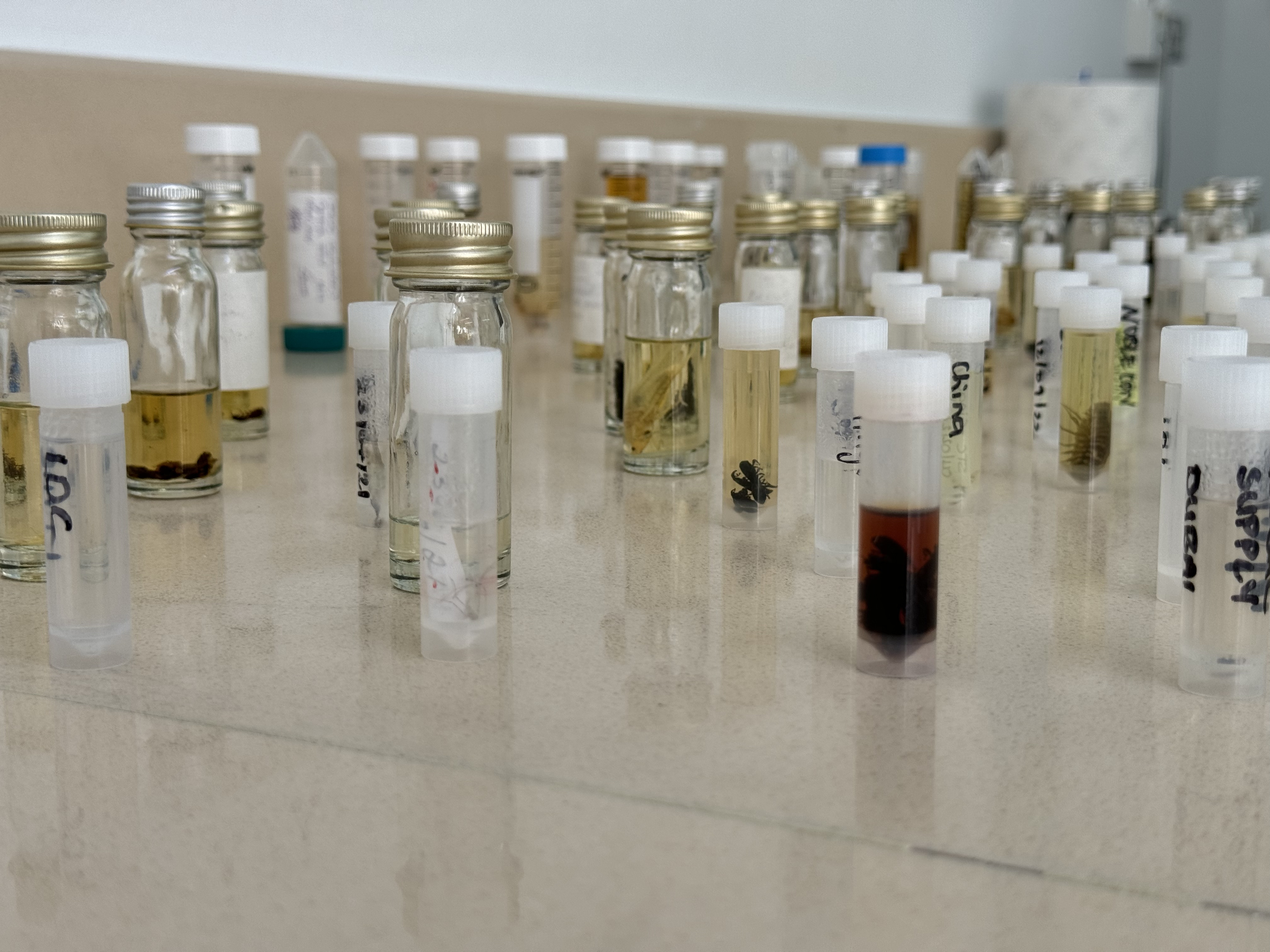 Train the Trainer for Seychelles and Kenya: ‘Biological waste management and dealing with infectious waste incidents’ 6