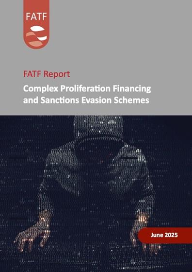 Complex Ploriferation Financing and sanctions Evasion Schemes
