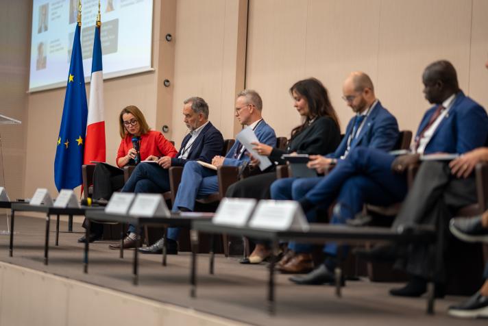 Expert panel, Third Security and Development Dialogue on Environmental Crime