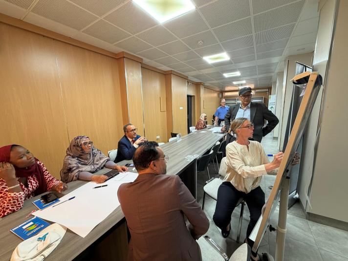 National workshop held in Mauritania from 11 to 14 May 2026