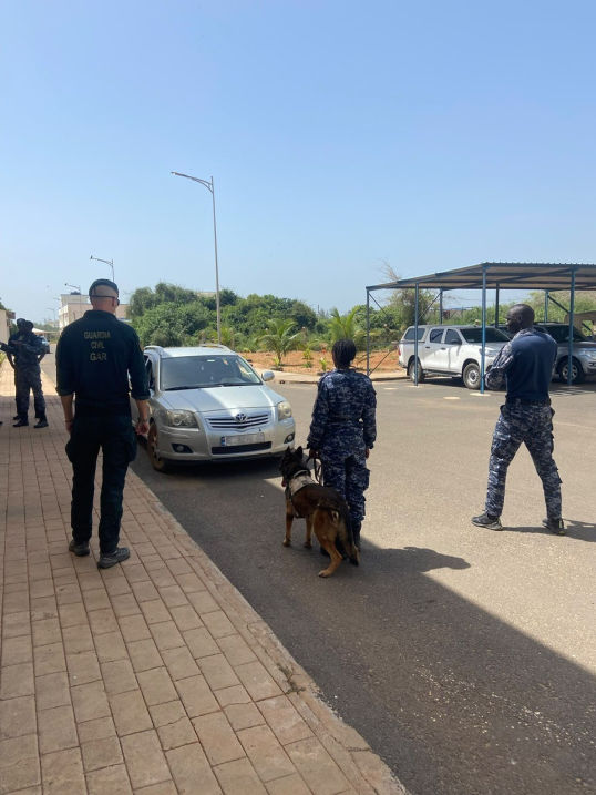 Practical K-9 session coordinated by a Senegalese trainer.