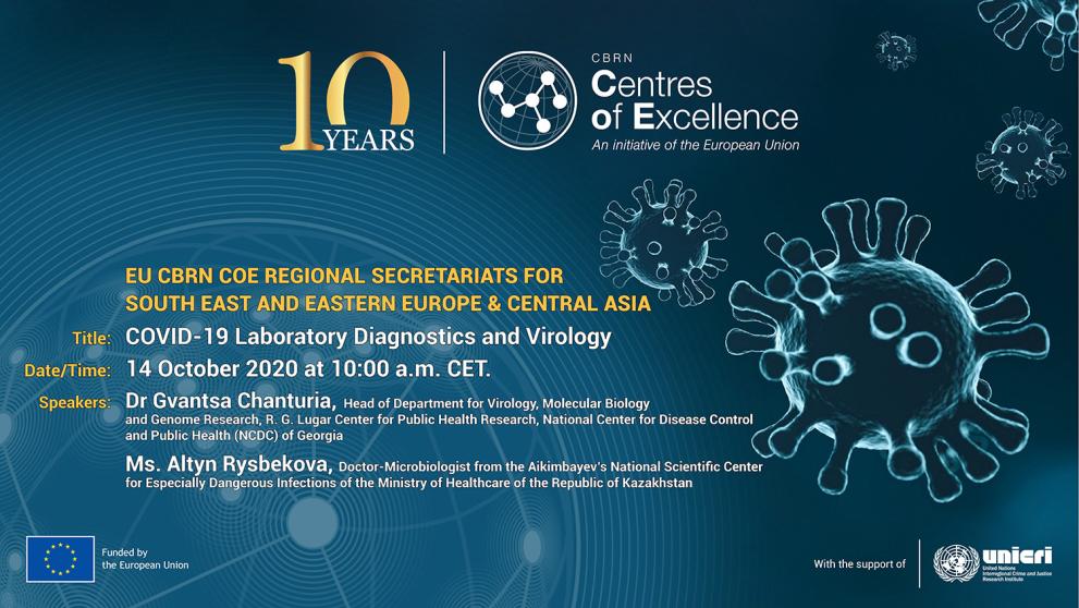 CA-SEEE 3rd webinar backdrop