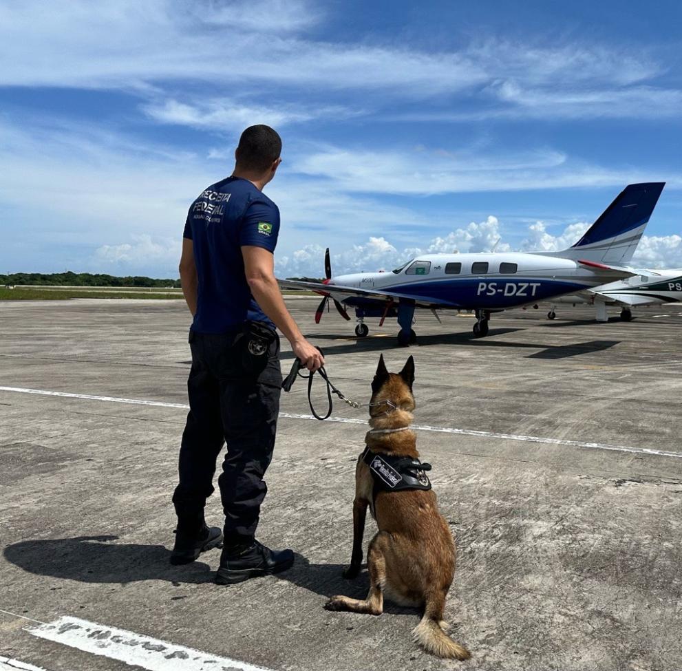Operation Paramuno - Canine Unit and Tarmac Surveillance
