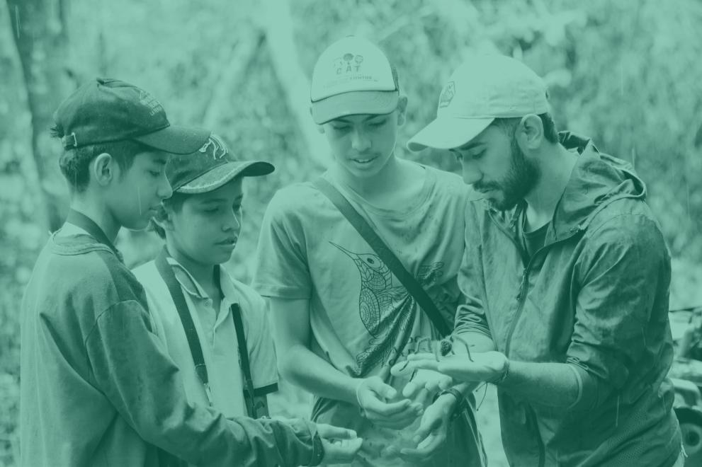 La Macarena, learning from biodiversity