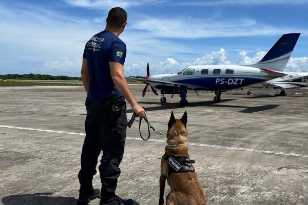 Operation Paramuno - Canine Unit and Tarmac Surveillance